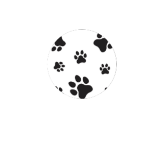 Nomad Paws